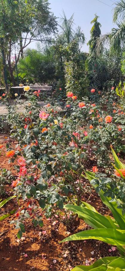 Bed & Breakfast Lalita Countryside *